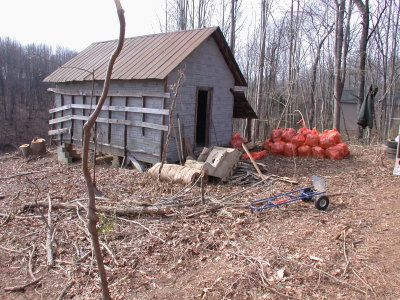 Clean-Up Effort