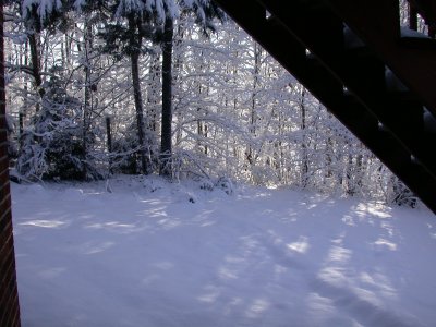 Snow2009-01.JPG