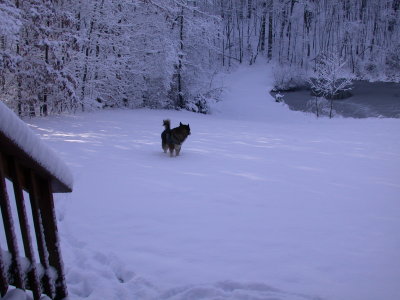 Snow2009-02.JPG