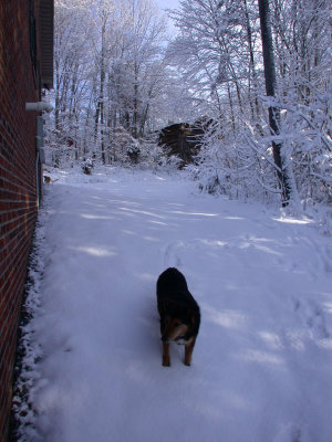 Snow2009-04.JPG