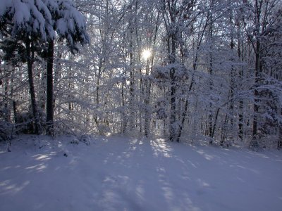Snow2009-05.JPG