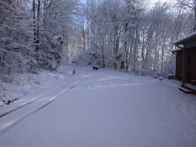 Snow2009-11.JPG