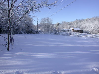 Snow2009-19.JPG