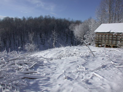 Snow2009-24.JPG