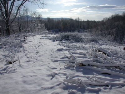 Snow2009-25.JPG