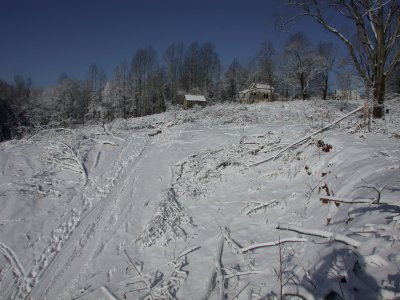 Snow2009-35.JPG