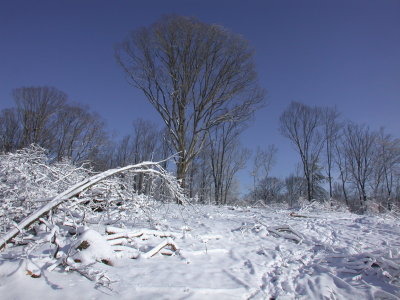 Snow2009-43.JPG