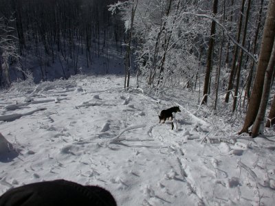 Snow2009-48.JPG