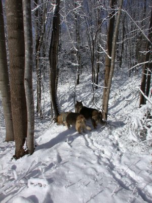 Snow2009-50.JPG