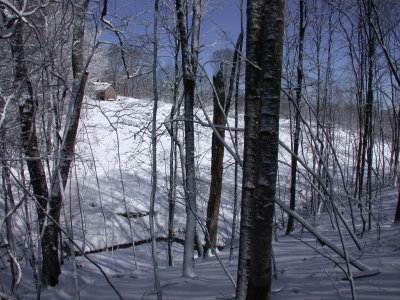 Snow2009-58.JPG
