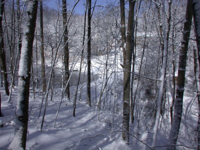 Snow2009-59.JPG
