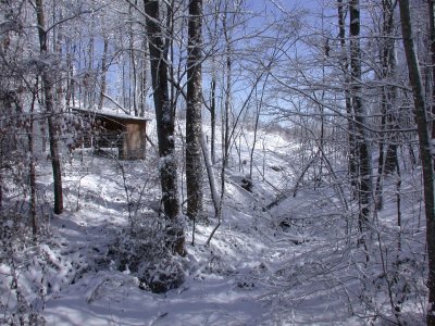 Snow2009-61.JPG