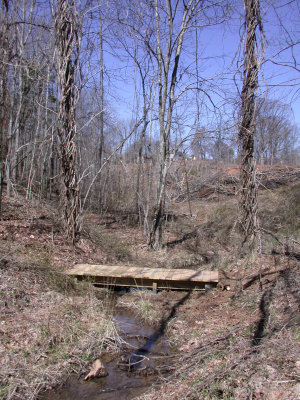 Bridge-090329-08.JPG