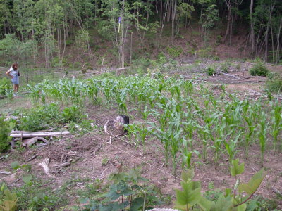 090602-03.JPG