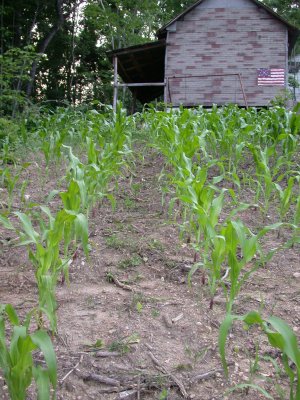 090602-07.JPG