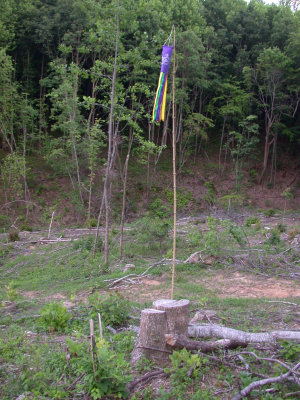 090602-08.JPG