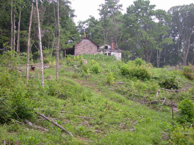 090615-09.JPG