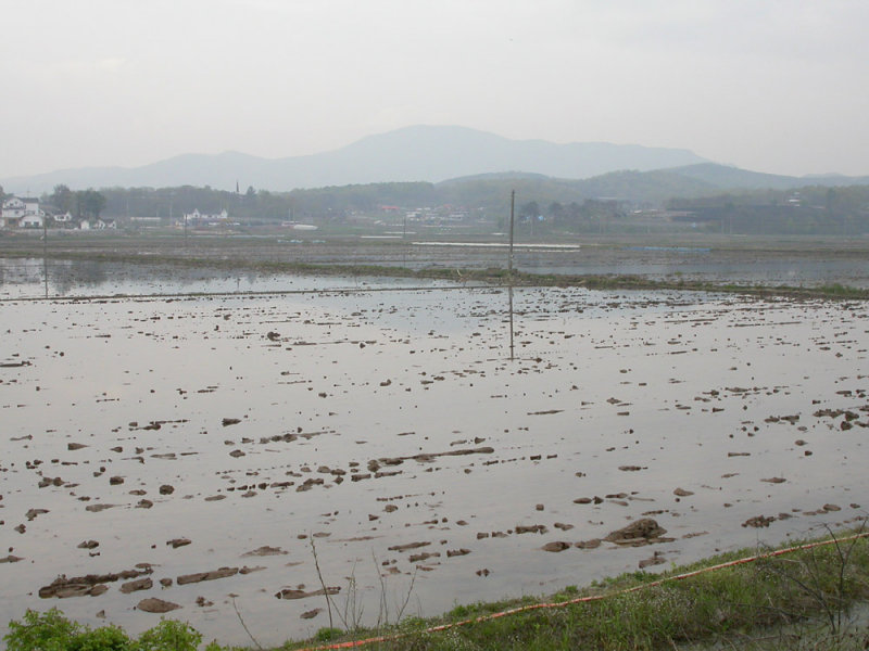 DSCN5733