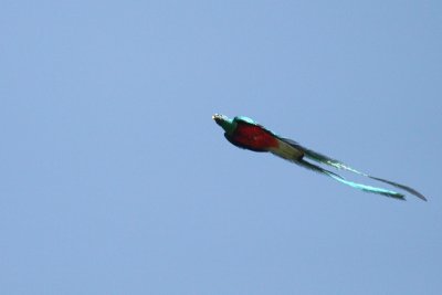 g1/37/349837/3/109858764.nZN2yhsh.jpg