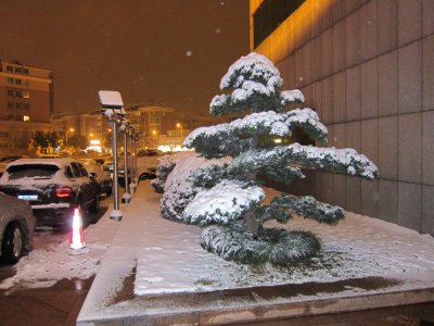 IMG_0217_1.jpg
