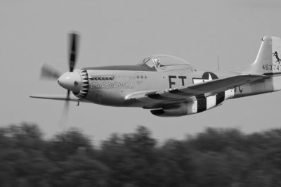 North American P-51D Mustang Charlotte's Chariot.jpg