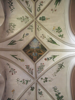 P8104530_lr.jpg