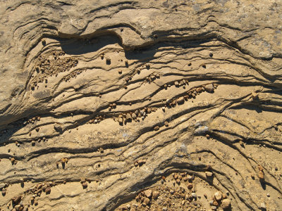 P9261966_lr.jpg