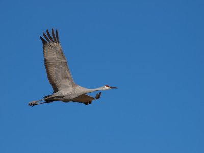 P2102462_lr.jpg
