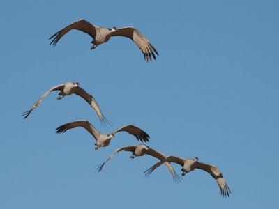 P2102573_lr.jpg