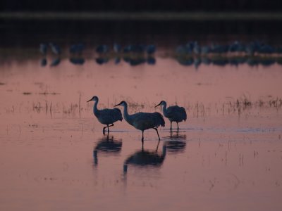 P2112809_lr.jpg