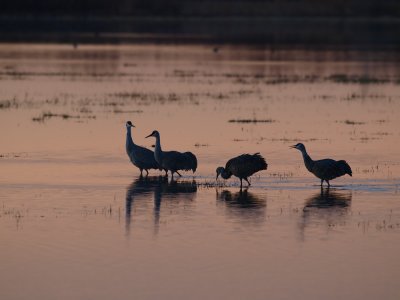 P2112823_lr.jpg