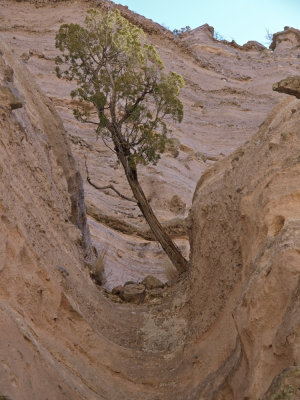 P2293070_lr.jpg