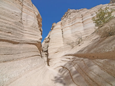 P2293091_lr.jpg