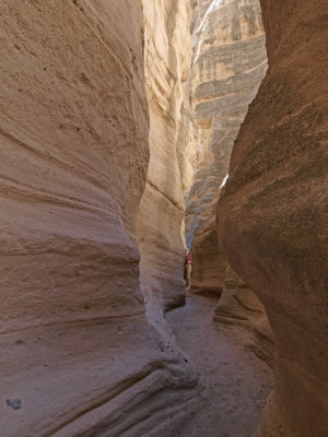 P2293109_lr.jpg