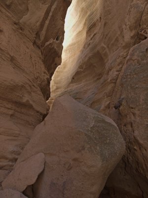 P2293116_lr.jpg