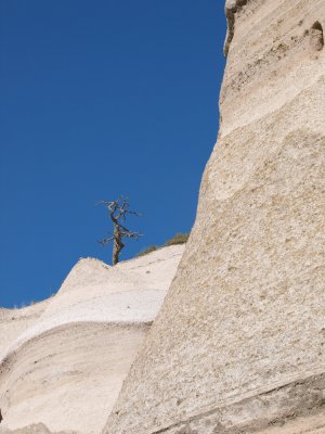 P2293174_lr.jpg