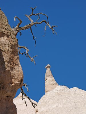 P2293178_lr.jpg