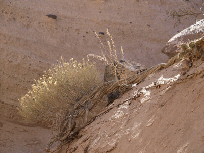 P2293193_lr.jpg