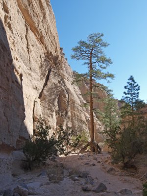 P2293216_lr.jpg