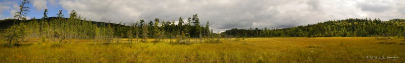 FerdsBog4880_82_84_87_89_92_92_96b.jpg