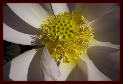 g1/37/418137/3/126393189.c5JwYEG8.jpg