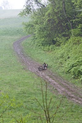 IMG_8812.jpg