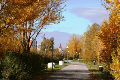 Peaceful path