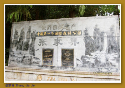 cnzj_D9594W002.jpg