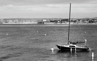 Sailboot Moored Near Fishermans Wharf