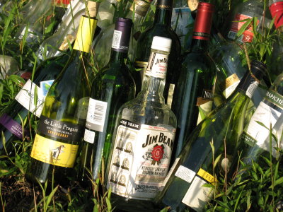 Liquor and Wine Bottles in the Grass