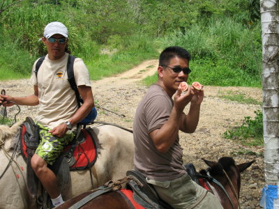 Eating Guavas on Horseback