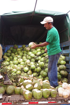 Rohrmoser Farmer's Market Coconut Vendor