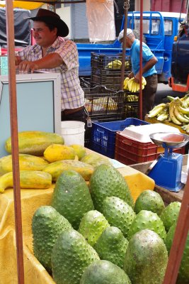 Guanabana, Papaya and Bananas at the Rohrmoser Farmer's Market