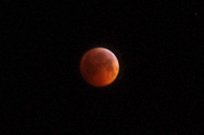 IMGP2992_crop.jpg